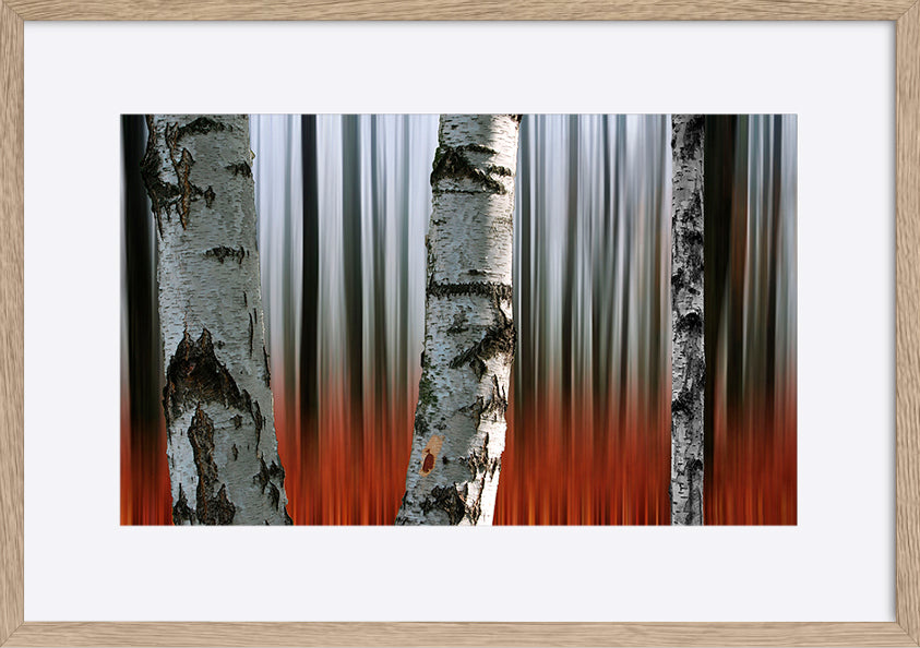 paper_frame