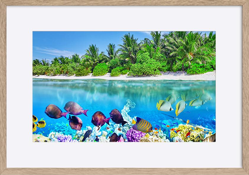 a17842819 Tropical Island And The Underwater World In The Maldives copy. Thoddoo Island - ArtFramed