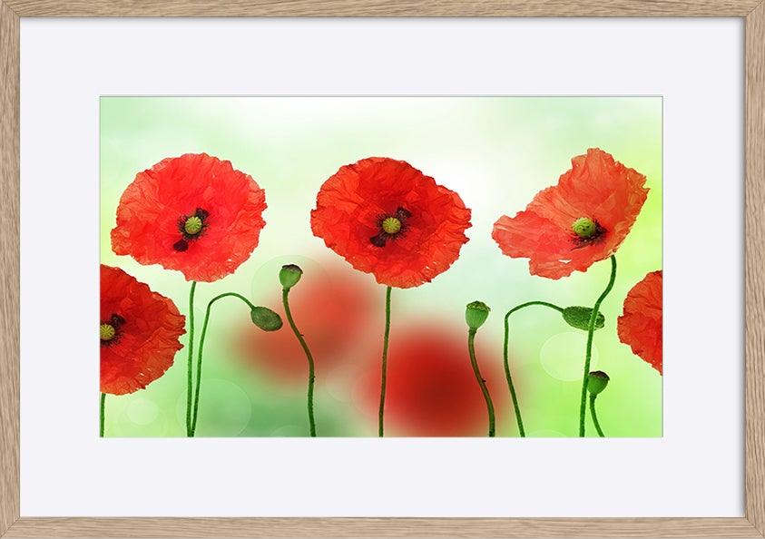 a2563057b Poppies copy - ArtFramed