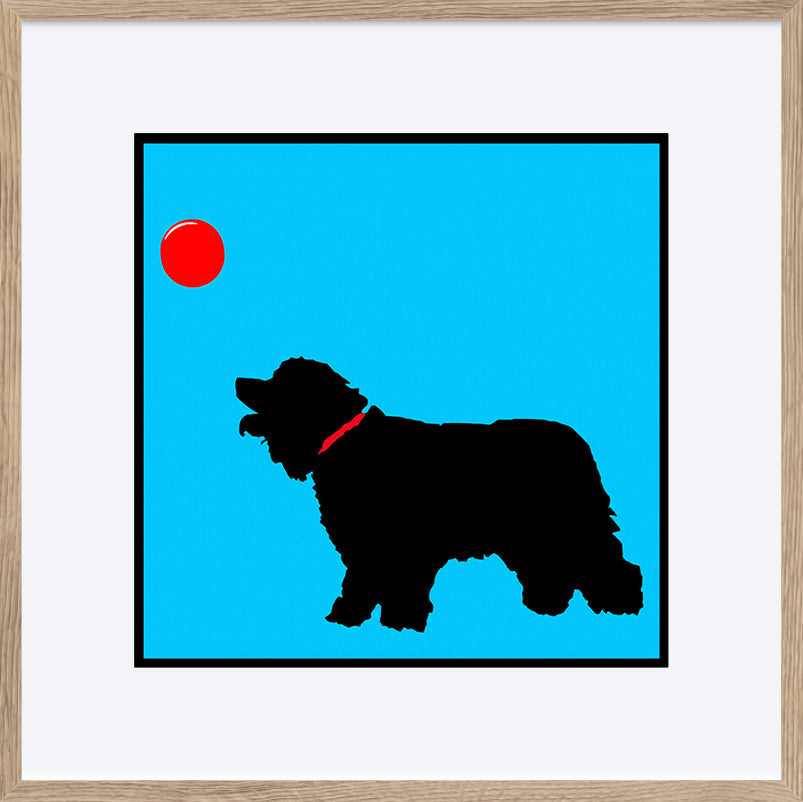 paper_frame