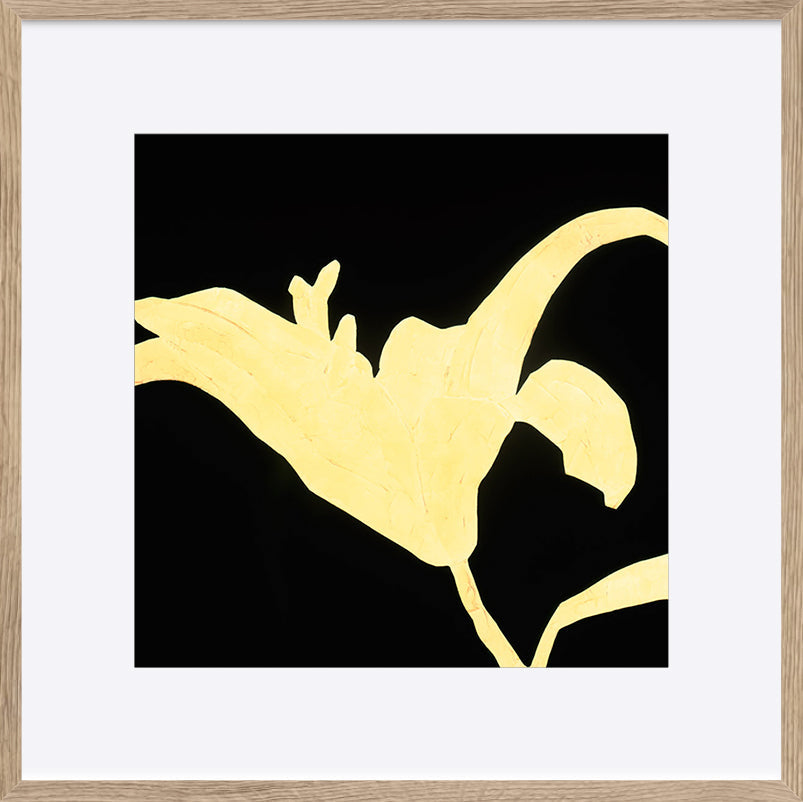 paper_frame