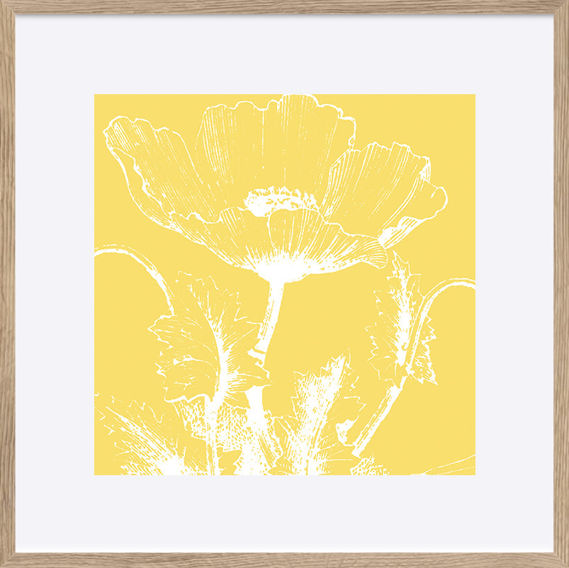 paper_frame