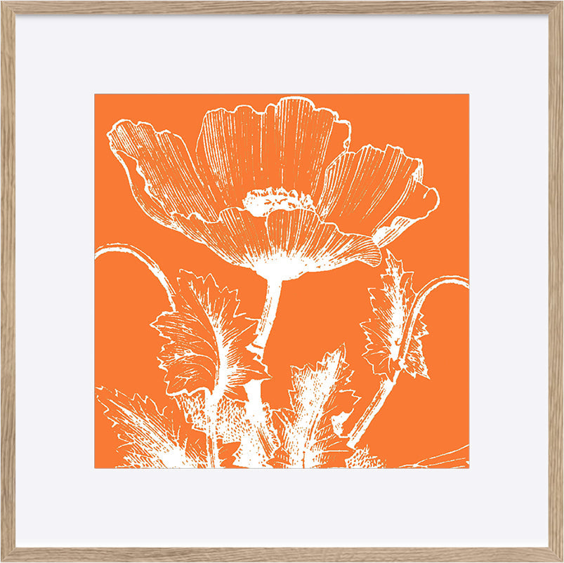paper_frame