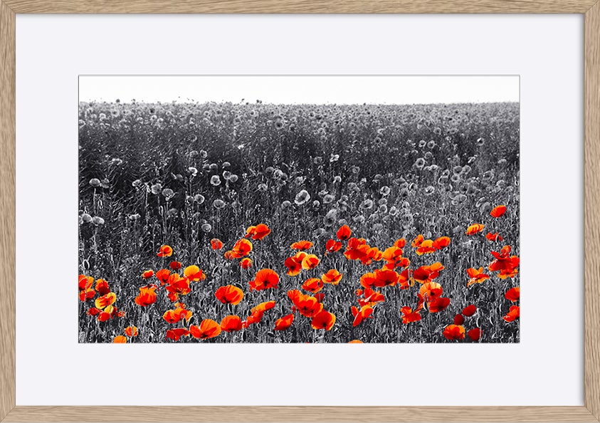 paper_frame