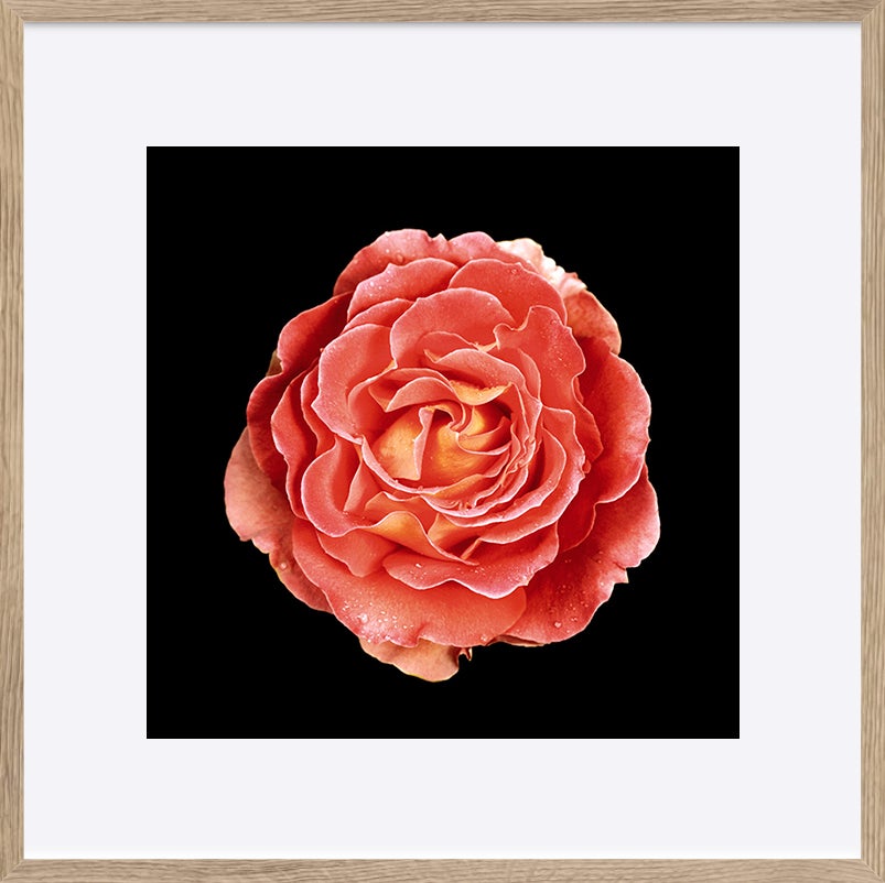 paper_frame