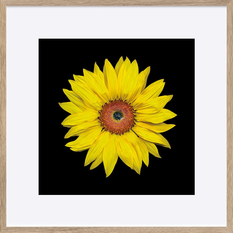 paper_frame
