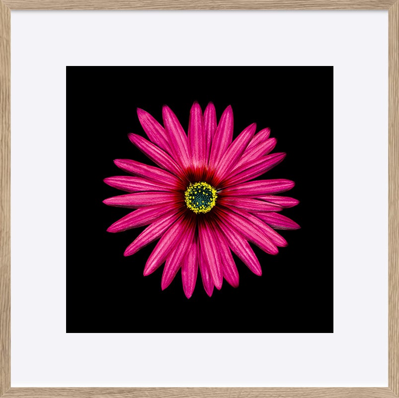 paper_frame