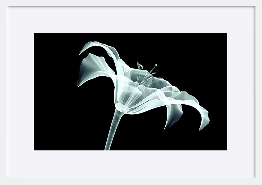 paper_frame