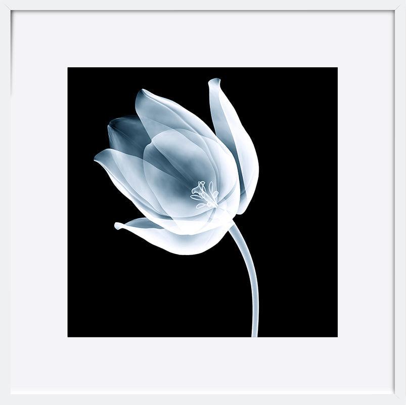 paper_frame