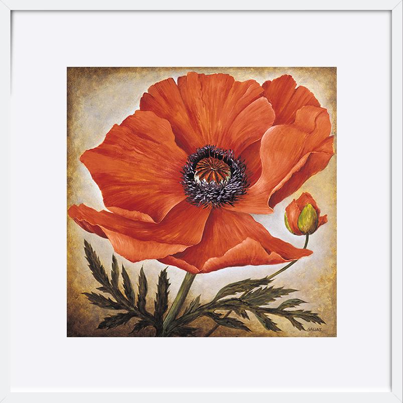 paper_frame
