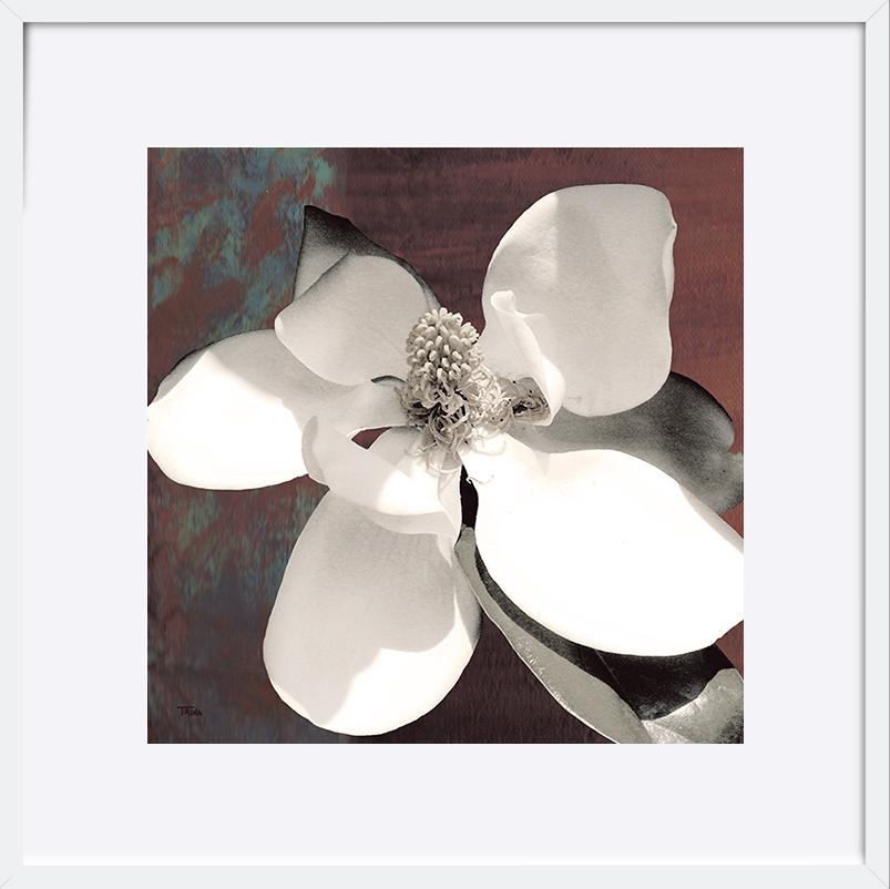 paper_frame