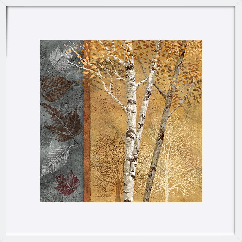 paper_frame
