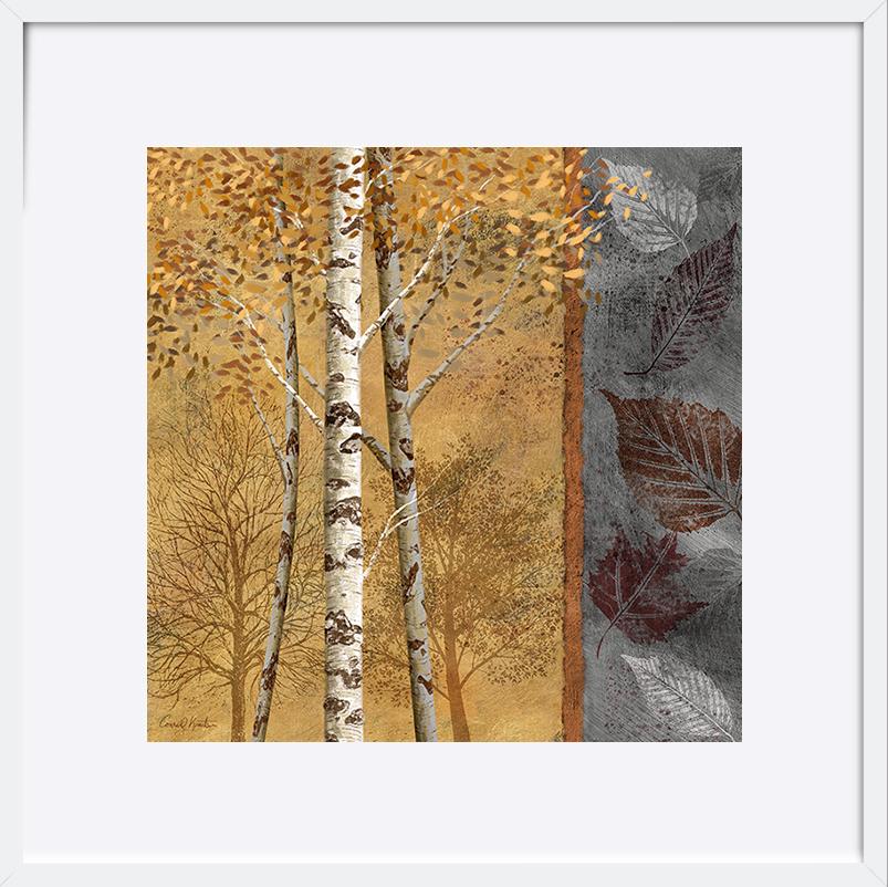 paper_frame