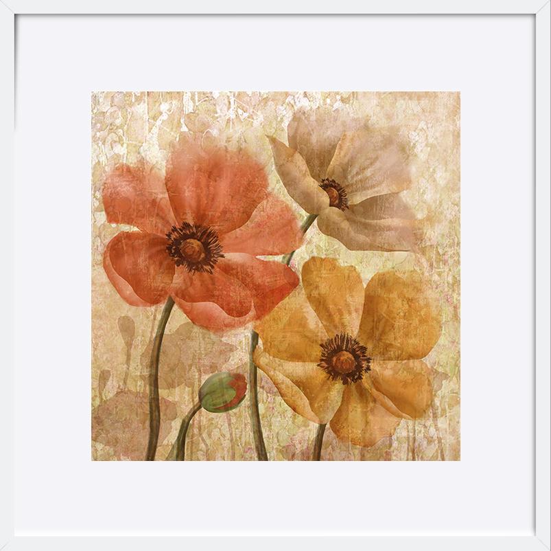 paper_frame