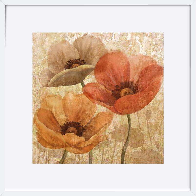 paper_frame