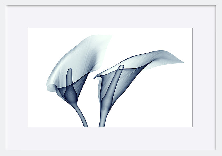 paper_frame