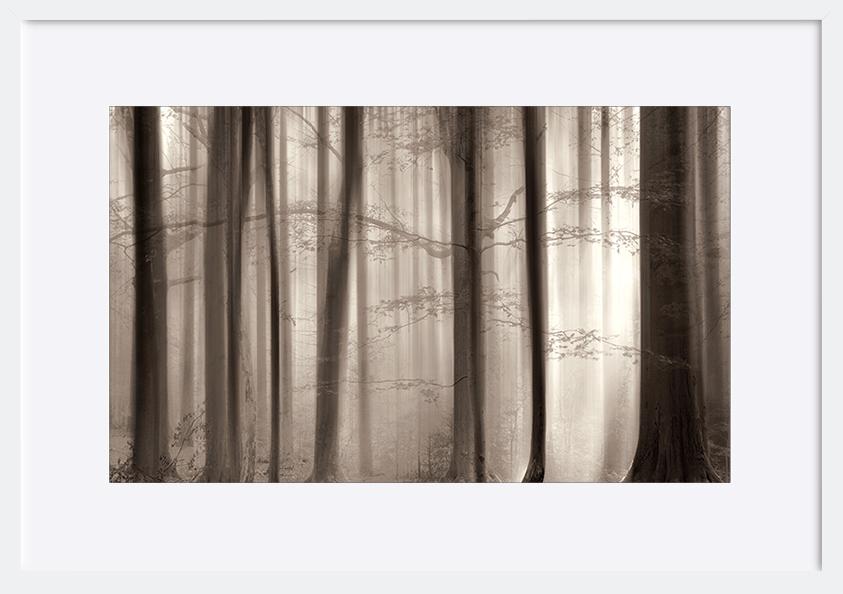 paper_frame