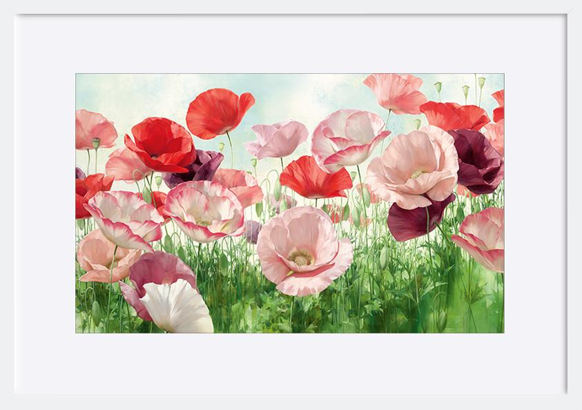 paper_frame