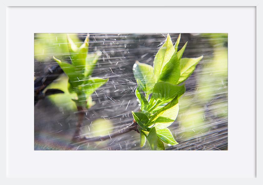 paper_frame