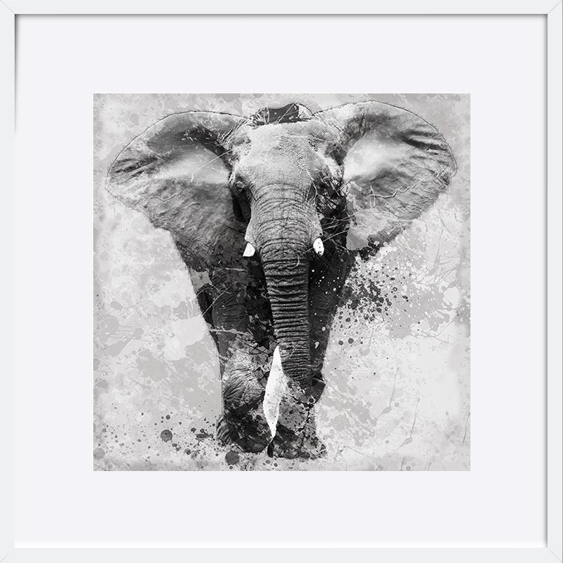paper_frame