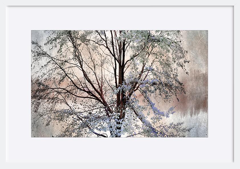 paper_frame