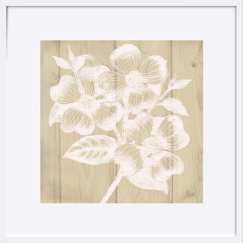 paper_frame