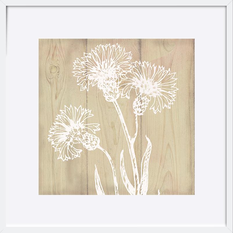 paper_frame
