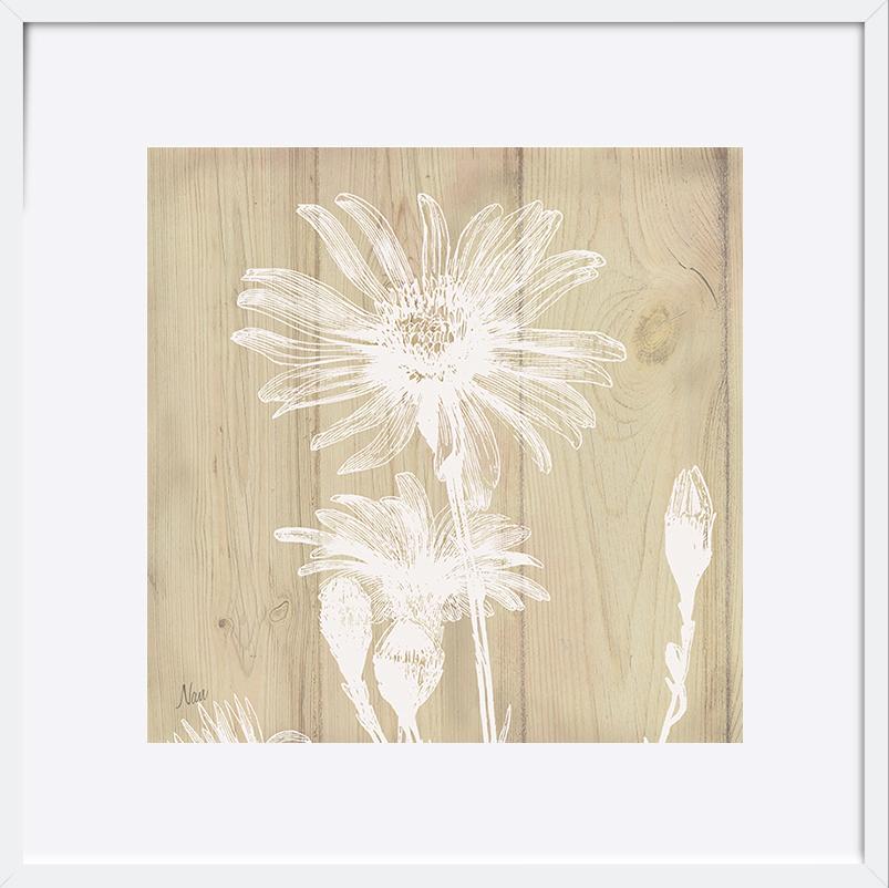 paper_frame