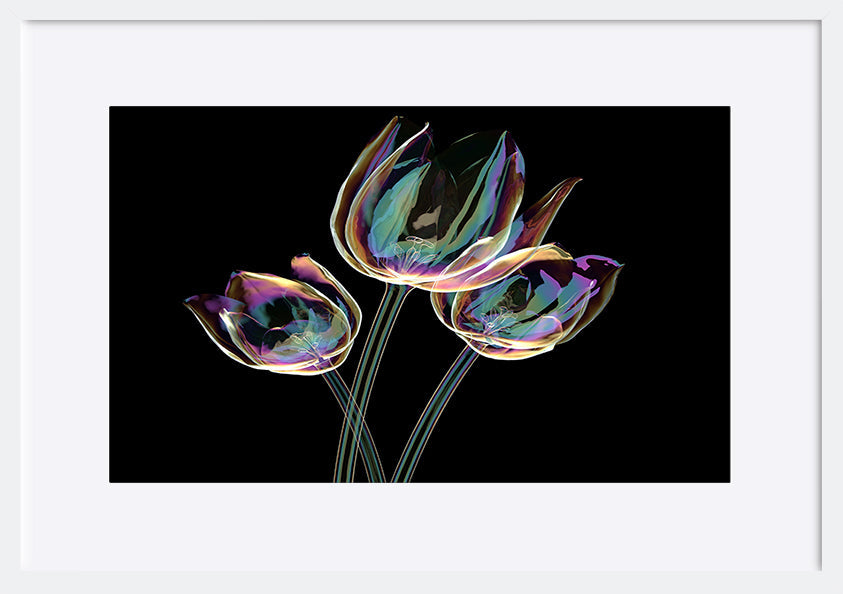paper_frame
