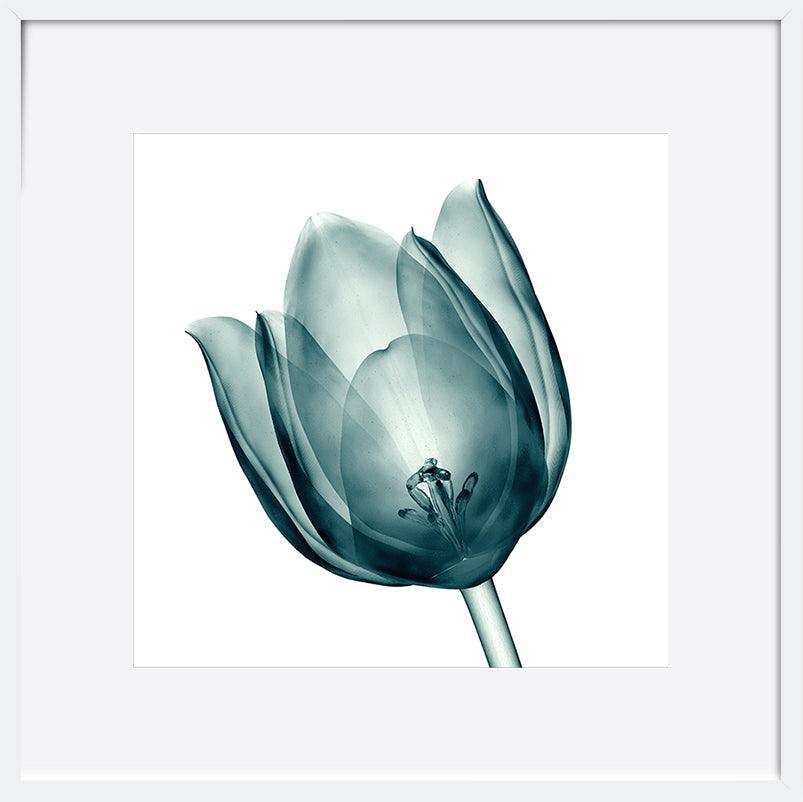 paper_frame