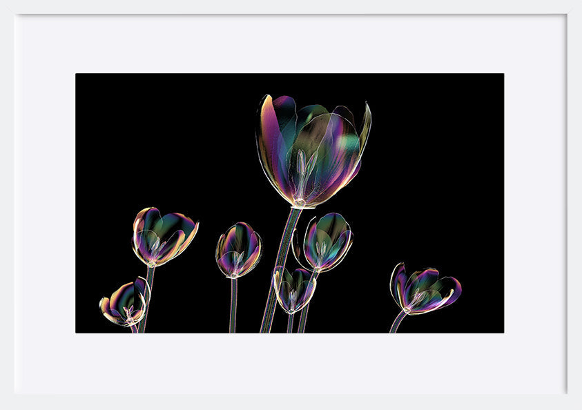 paper_frame