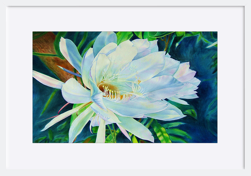 paper_frame