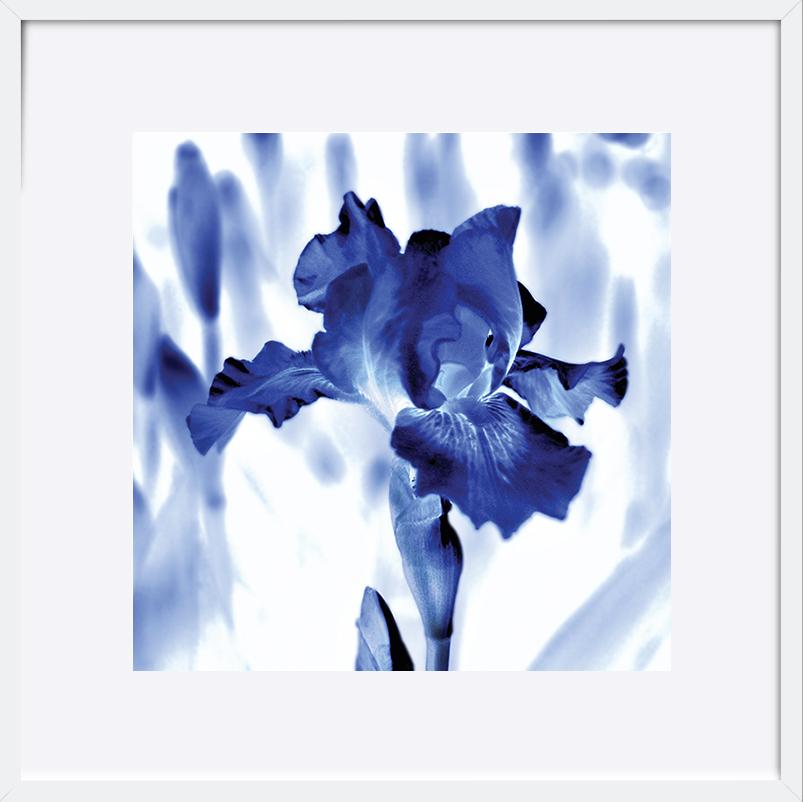 paper_frame