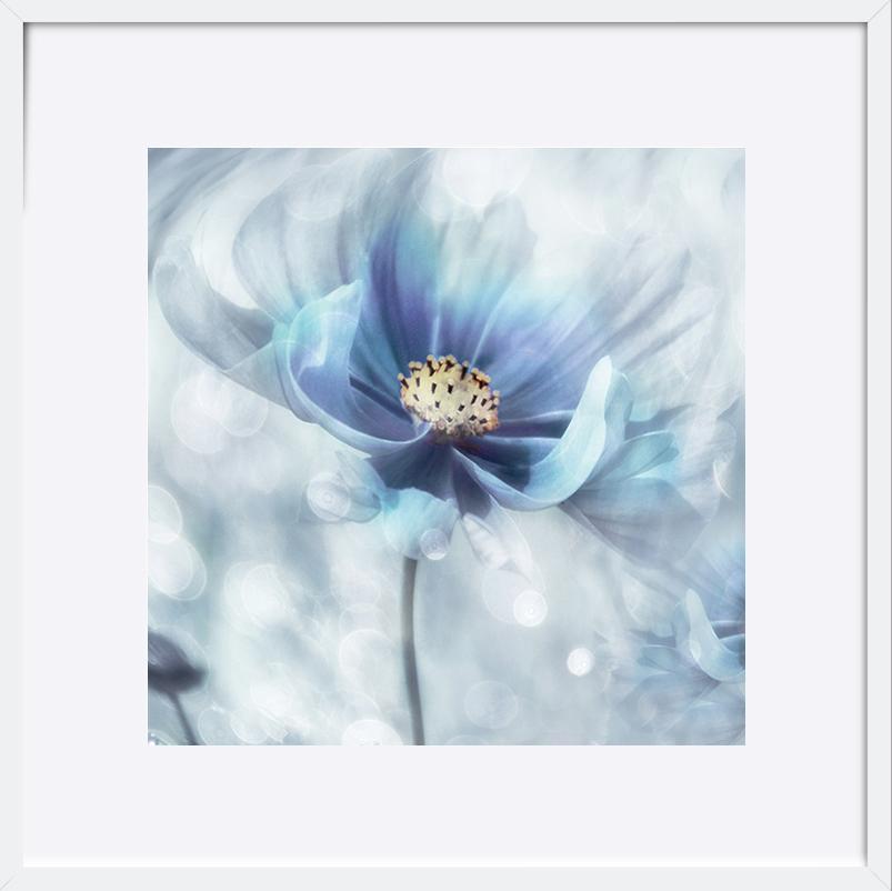 paper_frame