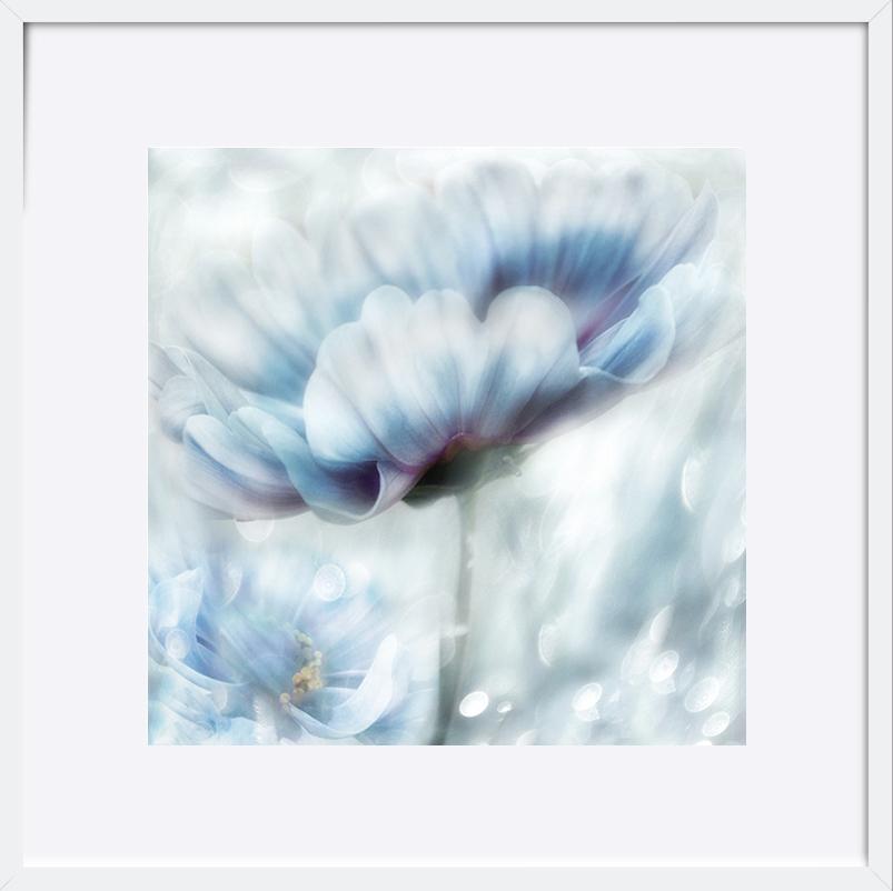 paper_frame