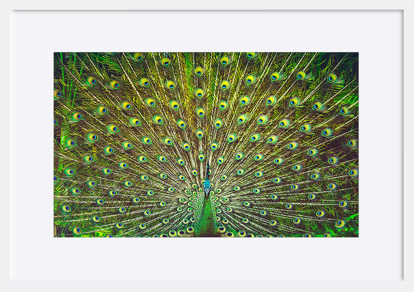 paper_frame