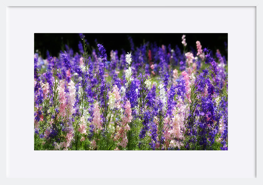 paper_frame