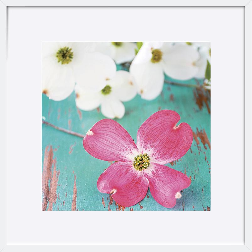 paper_frame
