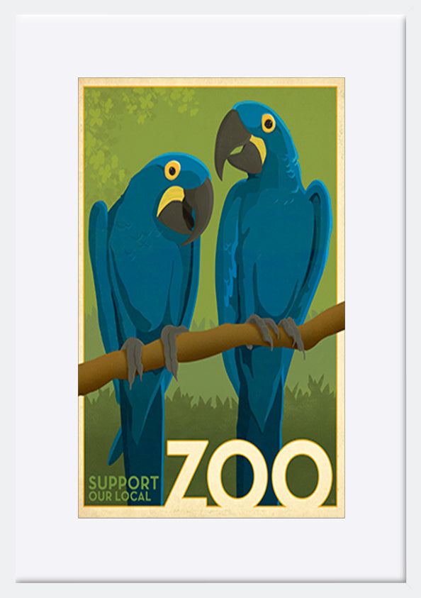 AL JOEAND116848 Zoo vintage cockatoo birds - ArtFramed