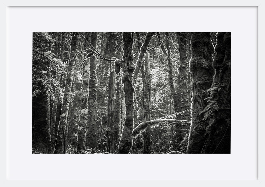 paper_frame