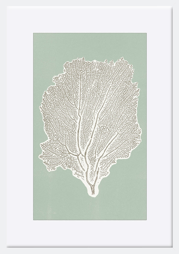 paper_frame