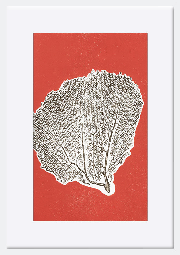 paper_frame