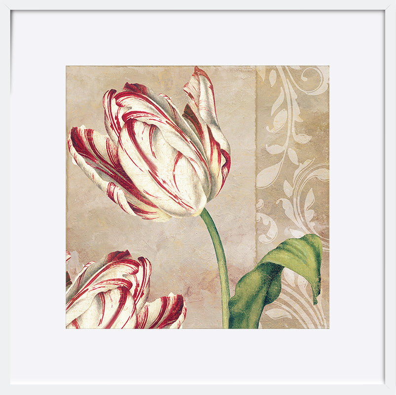 paper_frame