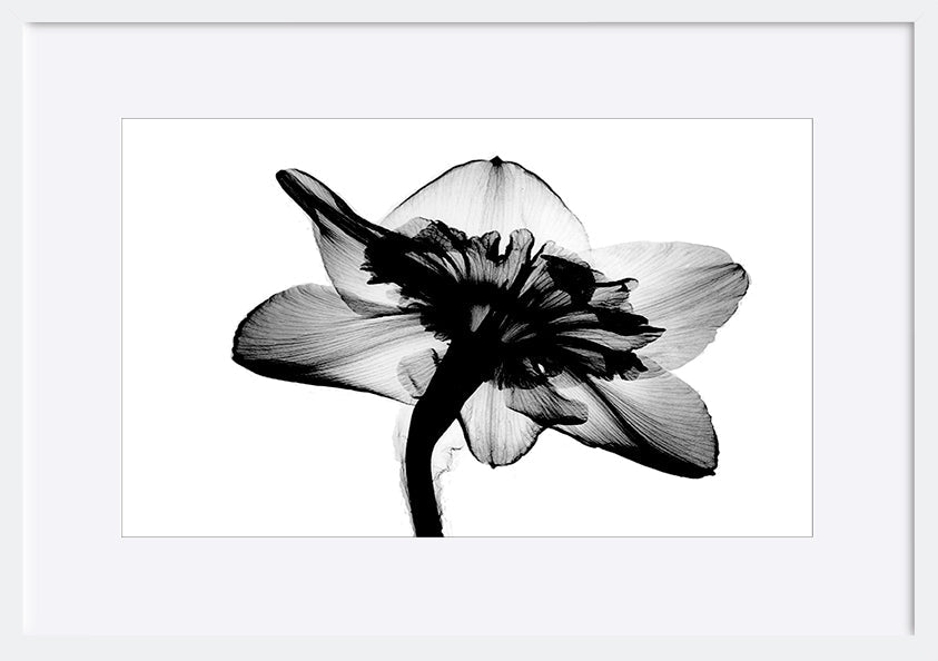 paper_frame