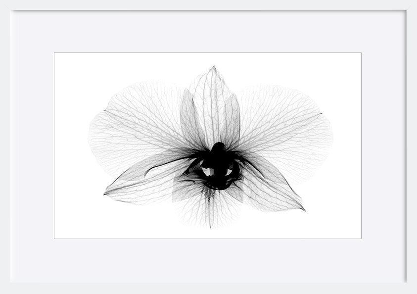 paper_frame