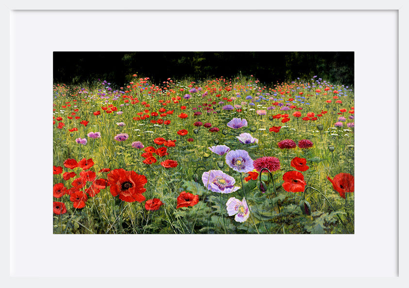 paper_frame