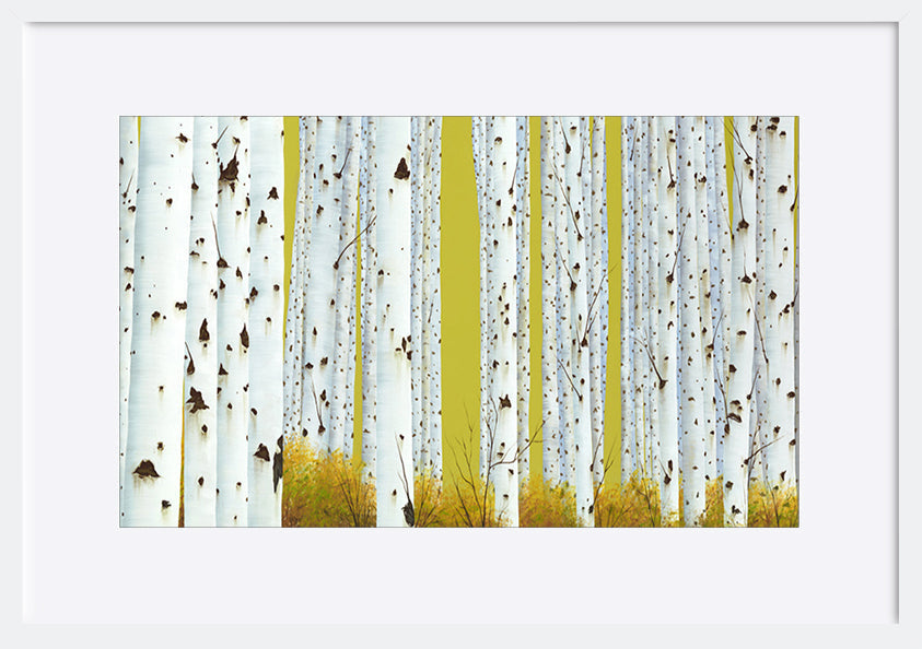 paper_frame