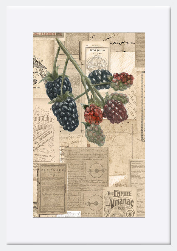 paper_frame