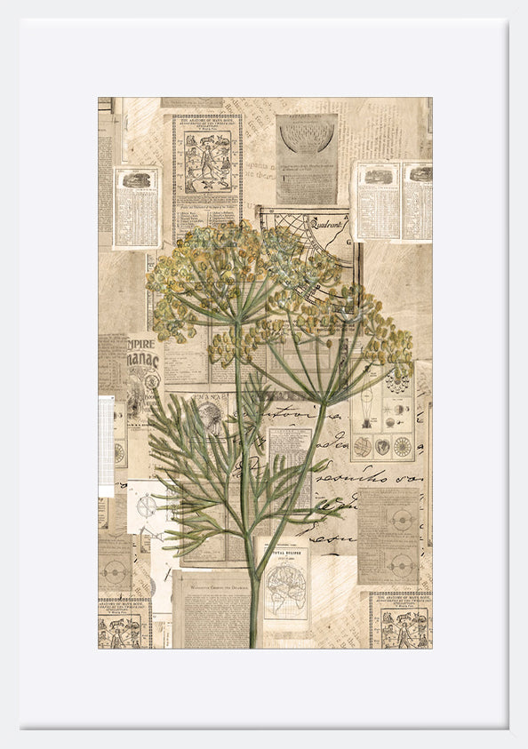 paper_frame
