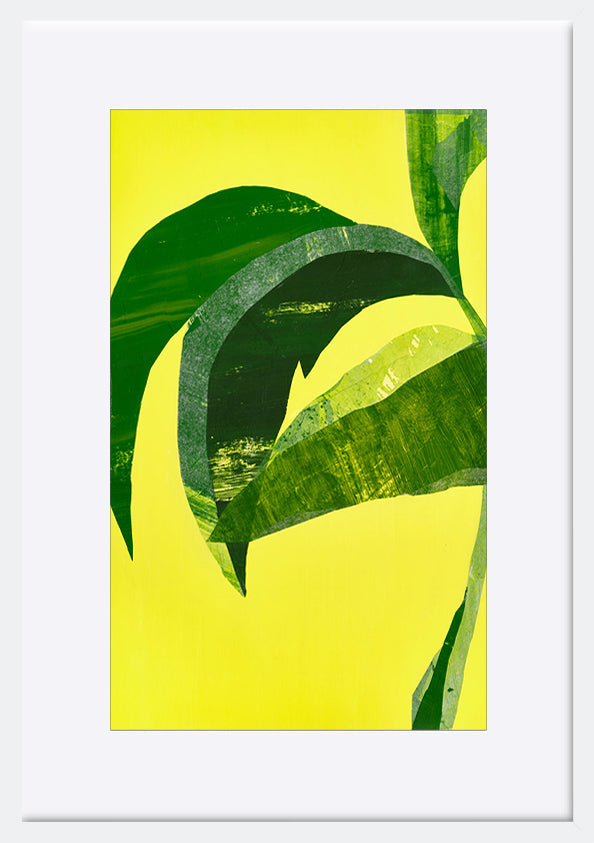 paper_frame